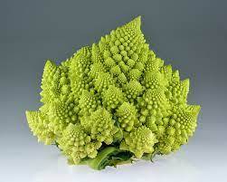 CHOU ROMANESCO