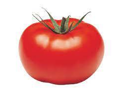 TOMATE RONDE