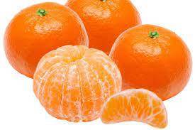 CLEMENTINE MAROC