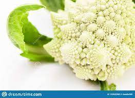 CHOU ROMANESCO BLANC